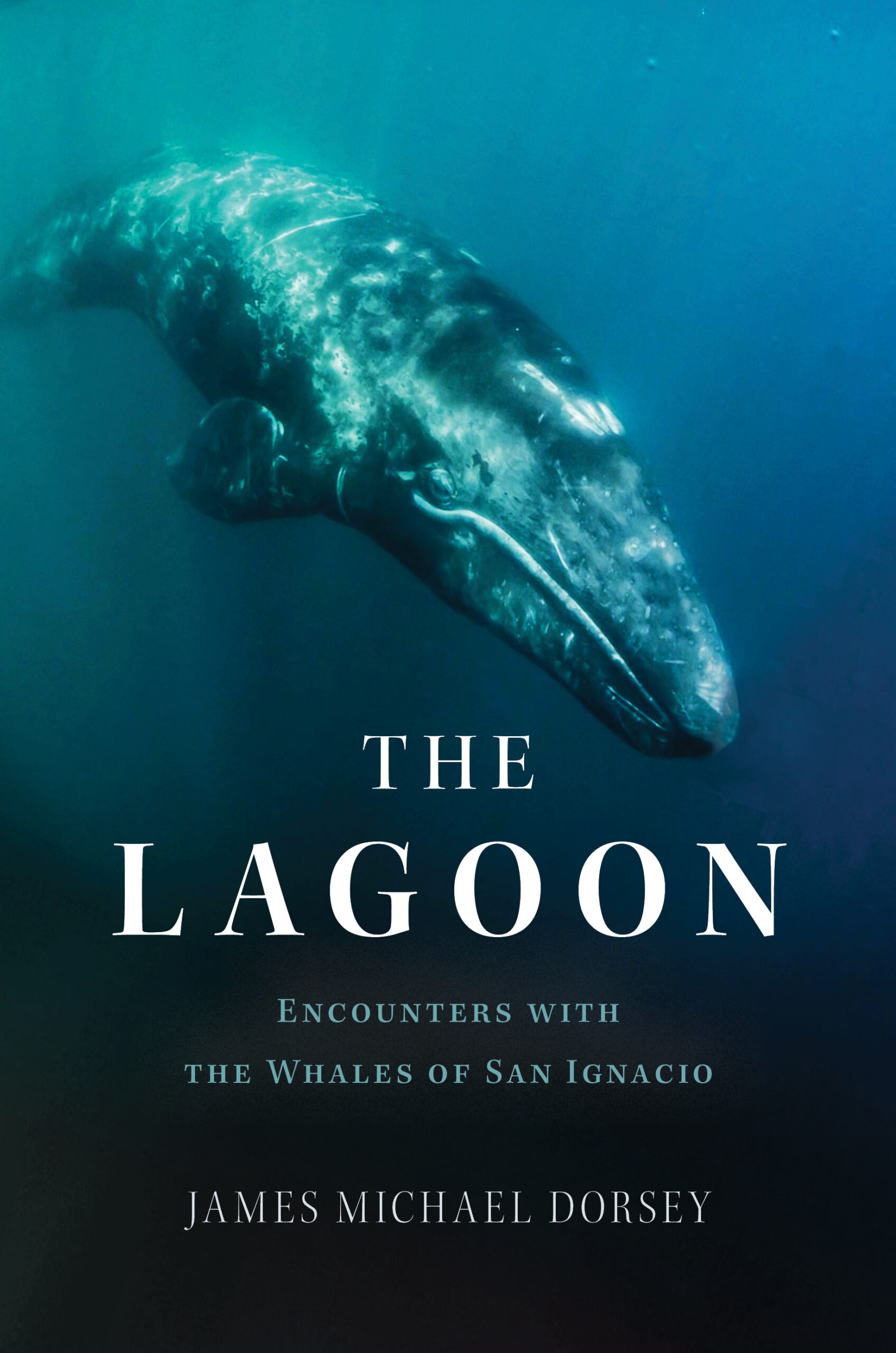 The Lagoon Diversion Books